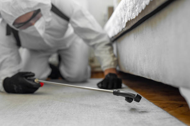 Professional Bed Bug Control technician working in Charlottesville city County, VA